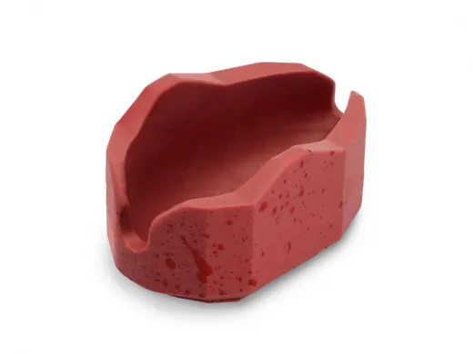 Delphin Method QUIX Form L